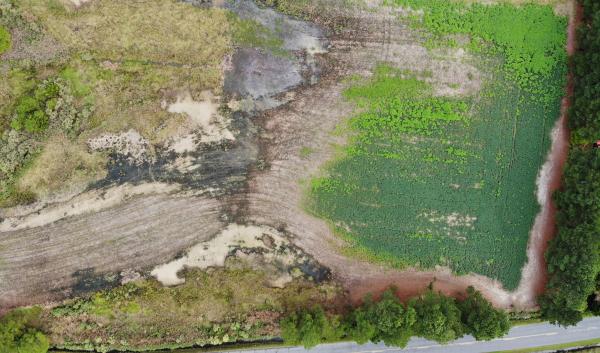 An aerial view of a farm field affected by saltwater intrusion. Gray areas of the field are where salt damage has occurred. Somerset County, Maryland.